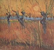 Willows at Sunset (nn04) Vincent Van Gogh